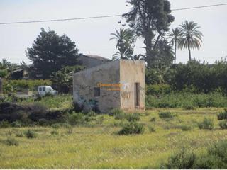 Residential Plot in La Algoda - Matola - Llano de San José. En venta parcelas de 16.000m2 entre elche y matola!!