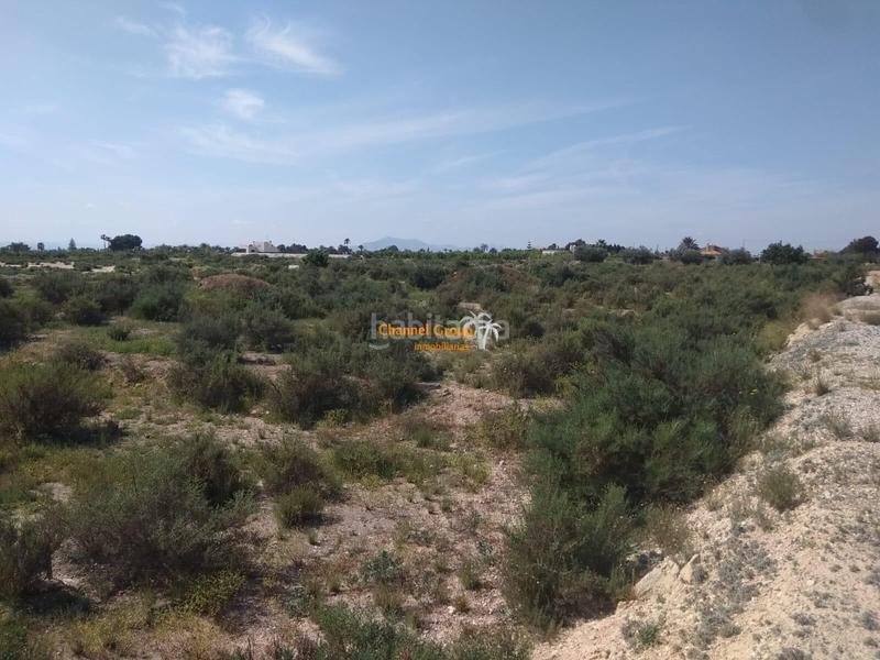 Foto 35fd8b83-19c4-476b-b90f-591a97ea9aeb. Terreny residencial a La Algoda - Matola - Llano de San José Elche / Elx