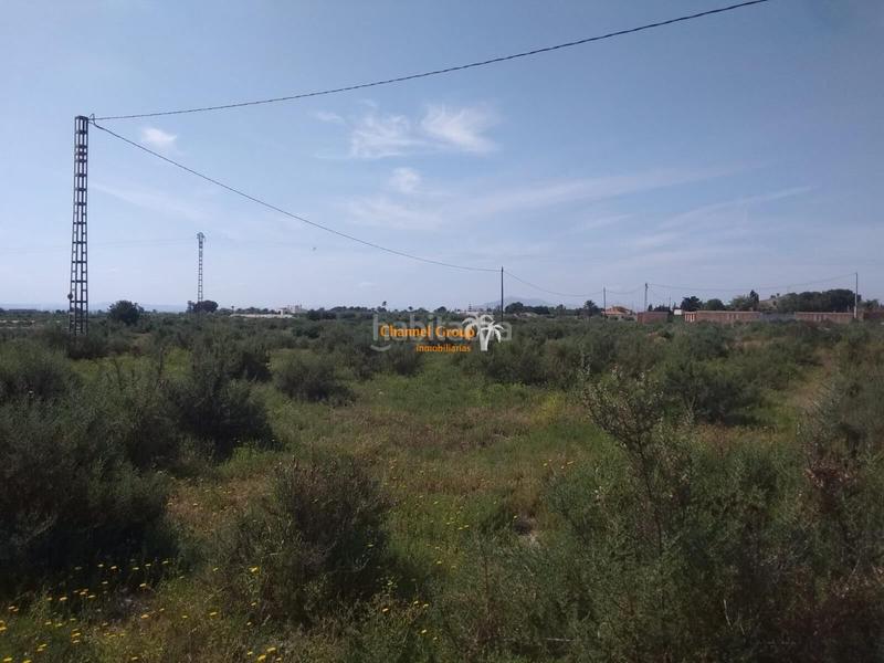 Foto a78f69e0-6846-489b-9c17-d97c47613c82. Terreny residencial a La Algoda - Matola - Llano de San José Elche / Elx