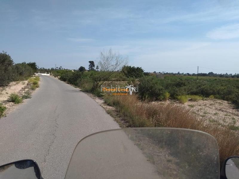 Foto f5bec0fa-f954-4e17-812f-afa149b20859. Terreny residencial a La Algoda - Matola - Llano de San José Elche / Elx