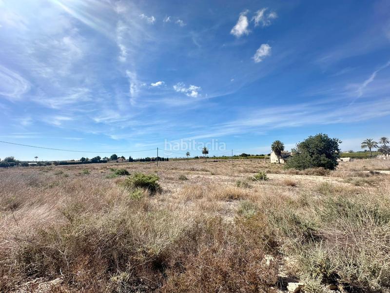 Foto ff92379d-77b9-436a-b527-3a5bddef3064. Terrain résidentiel dans Centro Elche / Elx