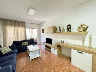 Lloguer Pis a Centro. Se alquila piso en pleno centro de elche amplio con 4 dormitorio