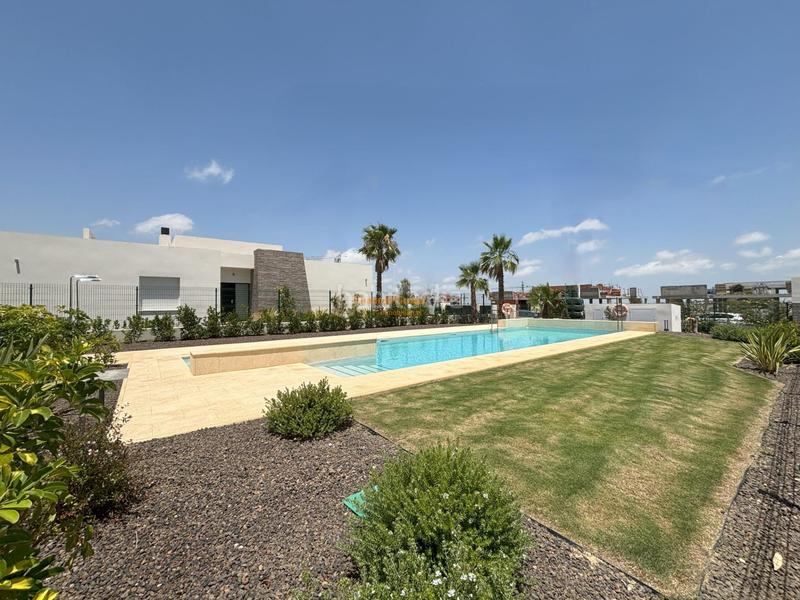 Foto 047818fa-4230-46bd-a1e2-c2559dec8591. Appartement avec piscine dans Algorfa