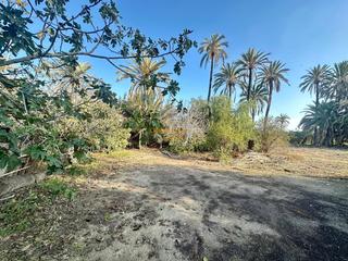 Masia a Algorós - El Derramador. En venta terreno de 10.540m  260m de casa para reformar en derra