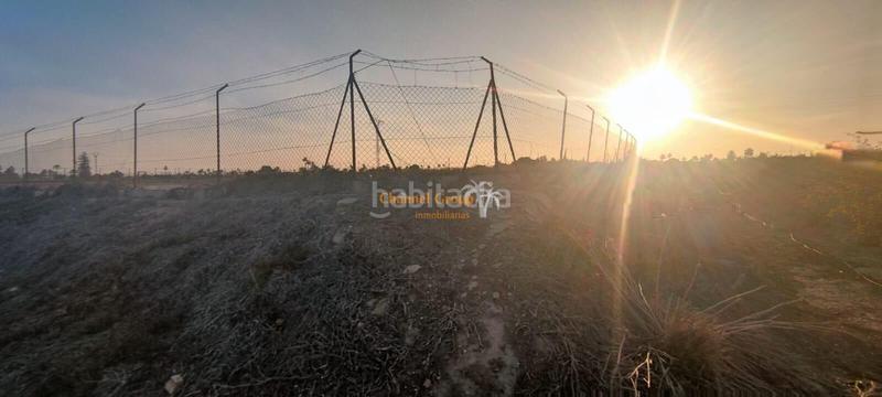 Foto 164f0d58-5920-41ae-b15a-b99d5dae0ef6. Terreny residencial a La Foia - Daimés - Asprella Elche / Elx