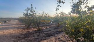 Terreno residenziale in La Foia - Daimés - Asprella