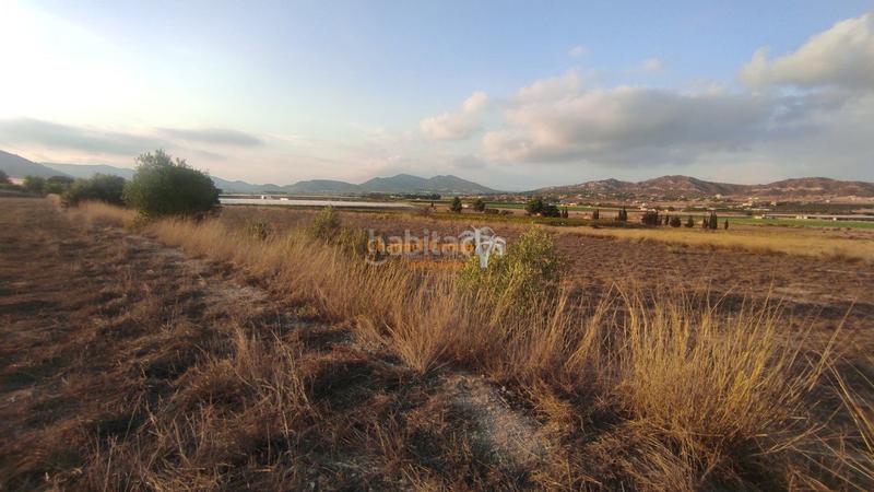 Foto 05631c00-969e-4224-97ff-e97489713582. Terreno residencial se vende parcela en partida alcana en aspe !!!!!!!!!! en Alcossebre