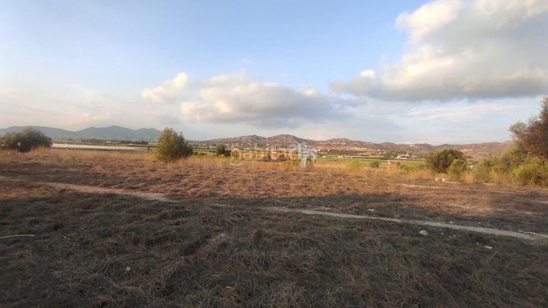 Foto 1a4c4d0f-be9b-4022-ae58-79537689858b. Terreno residencial se vende parcela en partida alcana en aspe !!!!!!!!!! en Alcossebre