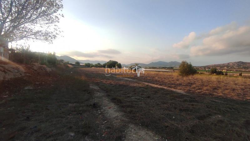 Foto 7296e6fa-68ff-40fc-a405-bbfab1304e97. Terreno residencial se vende parcela en partida alcana en aspe !!!!!!!!!! en Alcossebre
