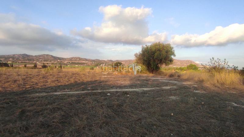 Foto aad77729-a5ae-4eeb-a260-fdb35bded367. Terreno residencial se vende parcela en partida alcana en aspe !!!!!!!!!! en Alcossebre