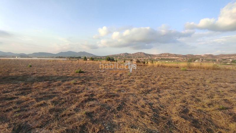 Foto bfe4ec33-73db-4faf-aba7-94a678539236. Terreno residencial se vende parcela en partida alcana en aspe !!!!!!!!!! en Alcossebre