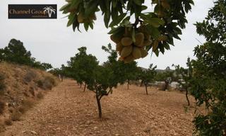 Terreny residencial a Monòver. Parcela en hondon de las nieves
