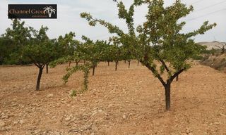 Terreny residencial a Monòver. Se vende parcela para cultivar en hondon de las nieves