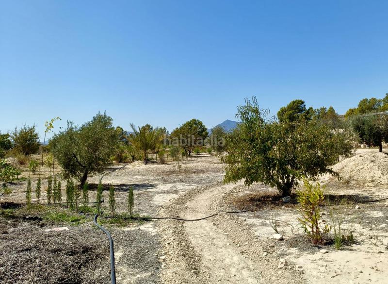 Foto 7e01095d-af3f-4db7-9ea5-8d0fb27b37ca. Masia amb aparcament a Abanilla