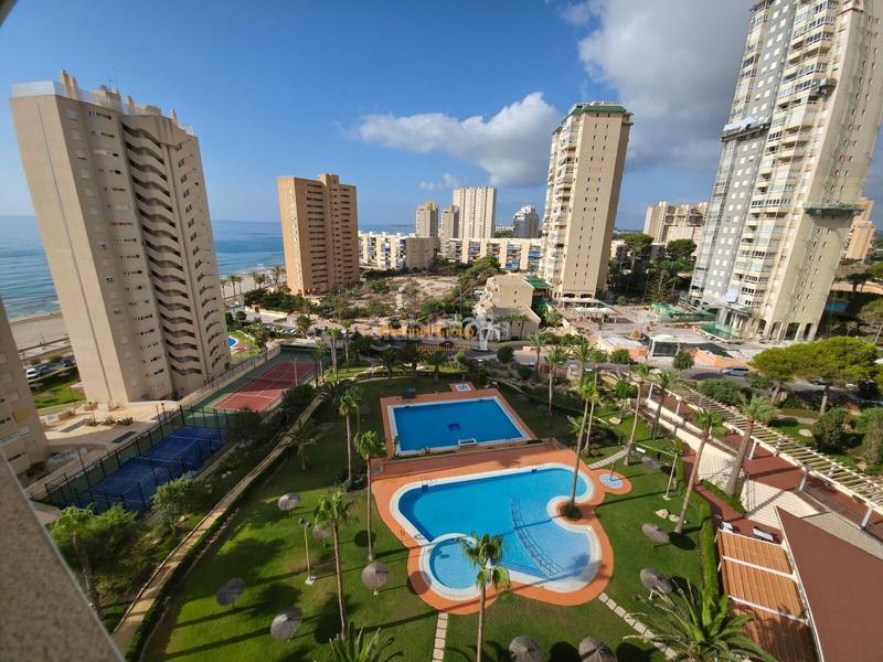 Foto f8ce4122-fb3c-411b-8667-74d04819f003. Apartamento en Playa Muchavista Campello (el)