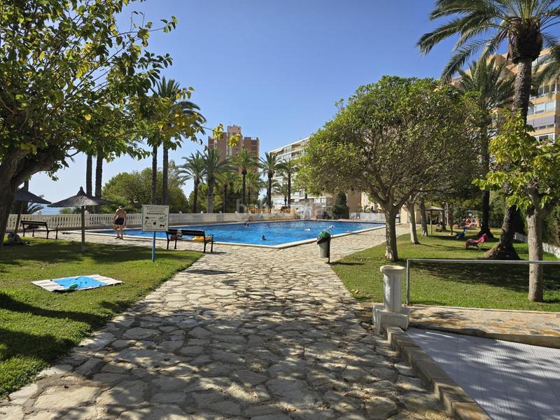 Foto 7d14b295-5db7-4017-8a5a-f603cc412a9c. Appartement mit heizung parking pool in Campello Pueblo Campello (el)