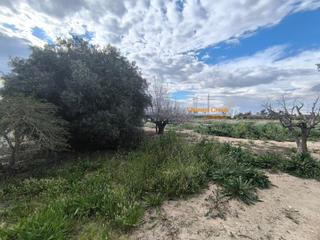 Terrain résidentiel à Hinojar. !!! oportunidad única! venta de casa de campo y parcela de 43,00