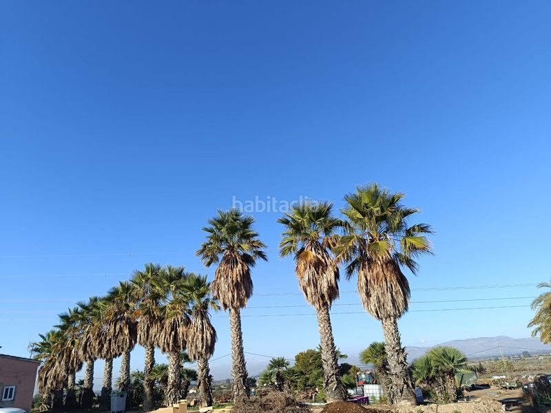 Foto 9b88de87-c883-46bb-bb8c-408f55bb0a7a. Terreny residencial a Hinojar Lorca