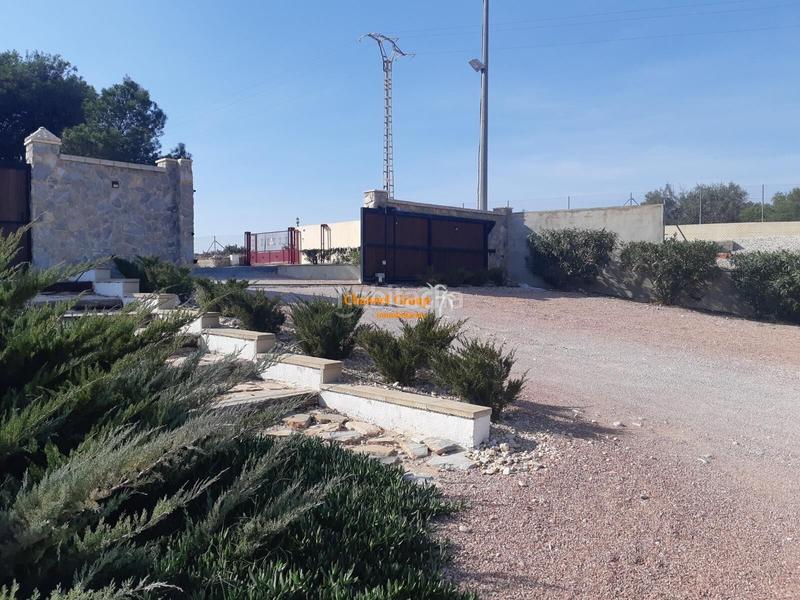 Foto 307dafa7-f62b-4e2b-9b91-805d5ec73528. Terreny residencial a Crevillente