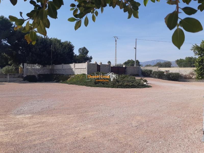 Foto 514f3929-cb15-4c6f-80d3-8788a649077b. Terreny residencial a Crevillente