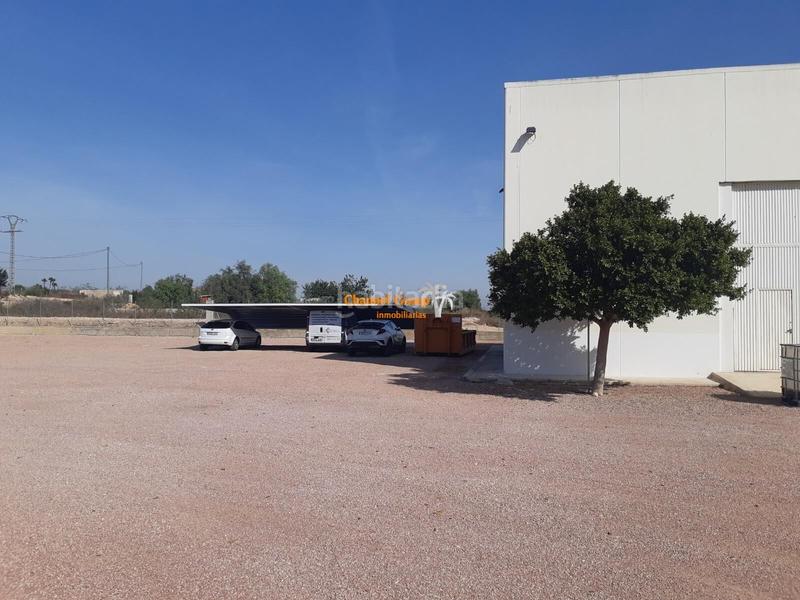 Foto 8052b0ec-f335-4897-92c0-8803fe6fc2a4. Terreny residencial a Crevillente