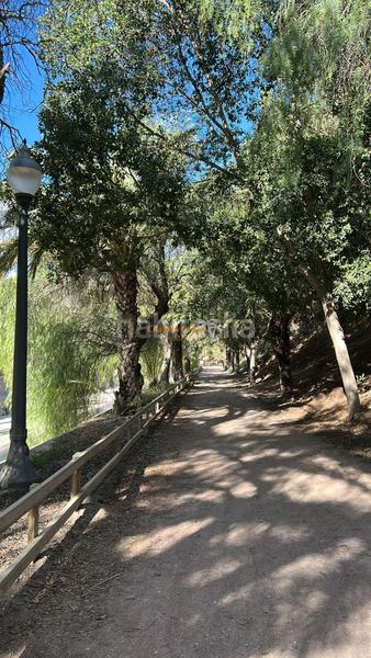 Foto 0dcf5503-49cb-438d-93cb-60aa68ff1265. Affitto appartamento in Camí dels Magros - Casablanca Elche / Elx