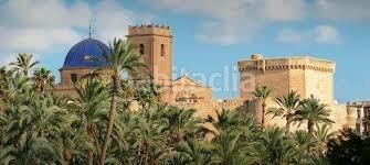 Foto 4f4ba7f3-f1d5-4c3d-ac0f-4042d7e7cff5. Dúplex amb aparcament a La Foia - Daimés - Asprella Elche / Elx