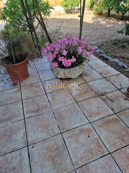 Foto 4b538f71-cd71-48a6-9a54-4ea9817d4da7. Xalet amb piscina a Ciutat Jardí - Torreta Verdí Elche / Elx