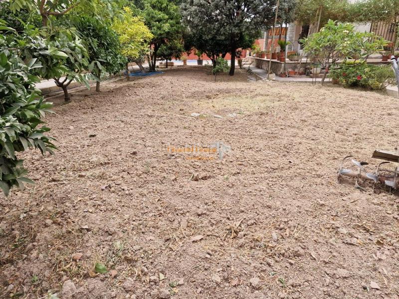 Foto 59995a6c-5327-4e50-8a2f-36530faaef20. Xalet amb piscina a Ciutat Jardí - Torreta Verdí Elche / Elx