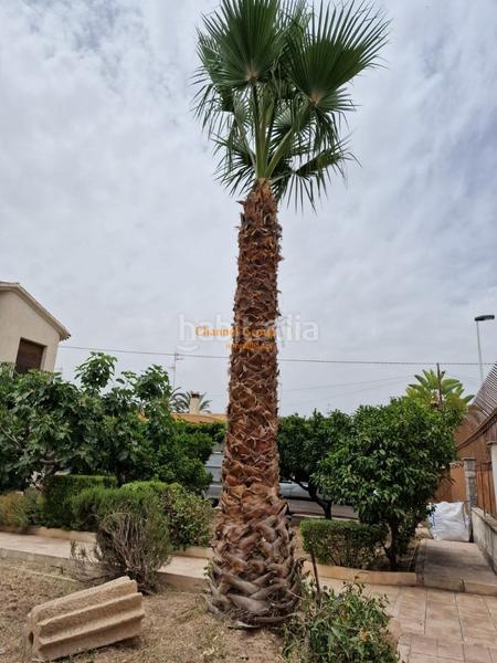 Foto 5cfcb76e-8dbd-4a5f-97e6-9aace9374456. Xalet amb piscina a Ciutat Jardí - Torreta Verdí Elche / Elx