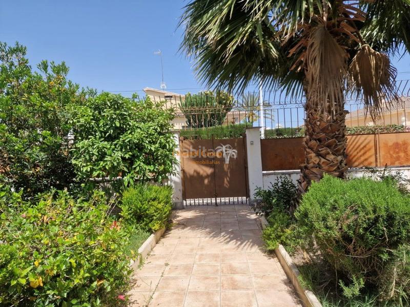 Foto 9a273017-2efd-4ac1-9a4c-91ba55946931. Xalet amb piscina a Ciutat Jardí - Torreta Verdí Elche / Elx