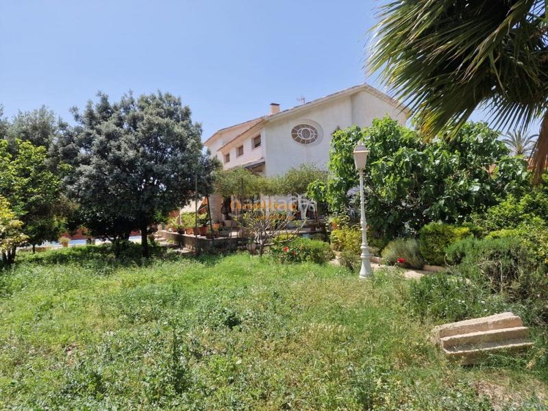 Foto a15a4ff8-6f09-4b1d-a1cc-d7c719a20da3. Xalet amb piscina a Ciutat Jardí - Torreta Verdí Elche / Elx