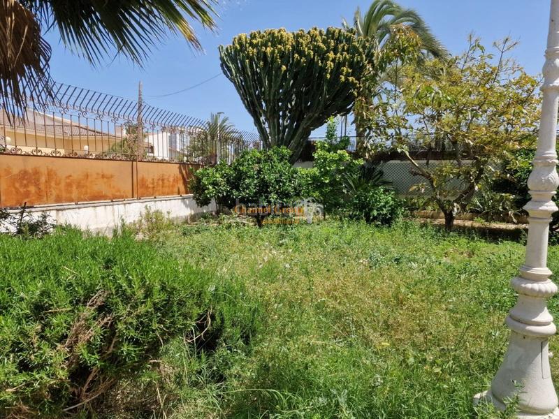 Foto b8ccb4ec-66fd-42b5-ad32-103dd7e230b1. Xalet amb piscina a Ciutat Jardí - Torreta Verdí Elche / Elx