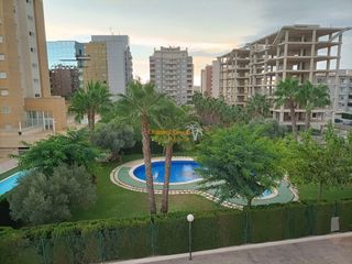 Pis a Maestro Jesus Lucas