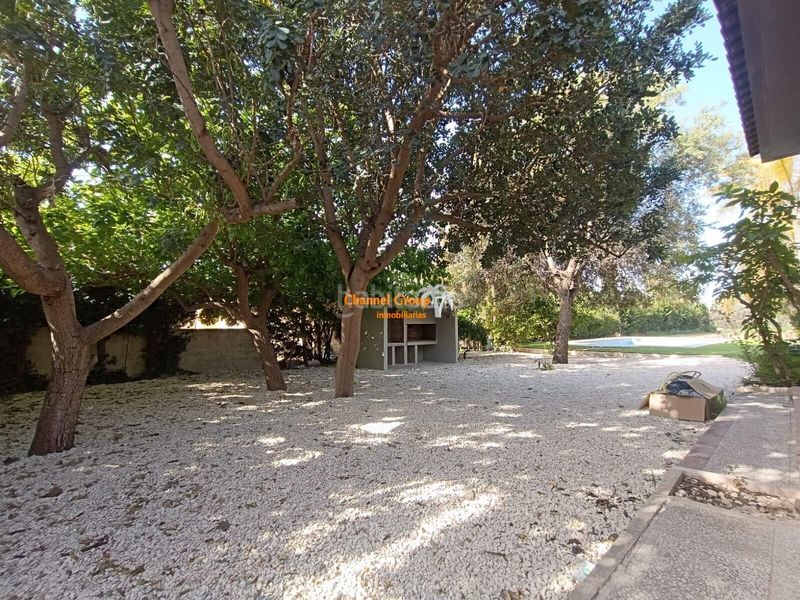 Foto d0ad68ff-775a-4334-855e-013c41f37f82. Xalet amb piscina a La Foia - Daimés - Asprella Elche / Elx