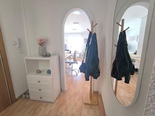 Rent Loft in Reina Victoria - Miguel Hernández. Se alquila magnificio loft con balcón, zona centro junto a reina