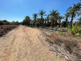 Terreny residencial a Crevillente. Venta   parcela en derramador  espacio, tranquilidad y gran pote