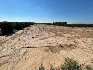 Terreny residencial a Crevillente. Venta parcela rústica en cachapet  crevillente, naturaleza, priv