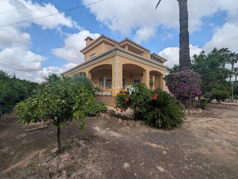 Foto a75d290b-a458-40e8-8c88-ca7677c0beb8. Xalet a Ciutat Jardí - Torreta Verdí Elche / Elx