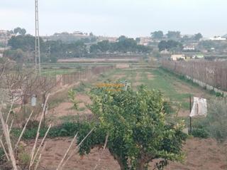 Xalet a Las Fuentes-Los Cipreses. Se vende casa de campo en aspe zona carrasca.