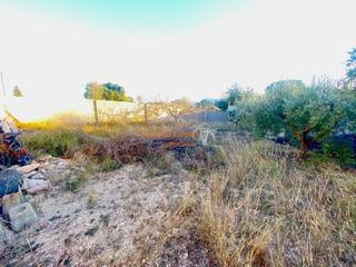 Residential Plot in Tomelloso. Se vende parcela vallada de 2000 m2, zona la romana !!!!!!