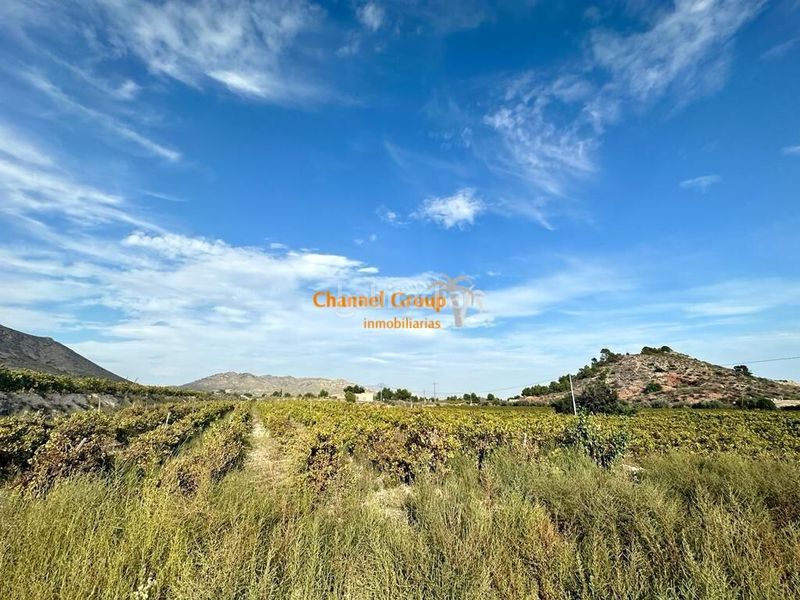 Foto c8361c05-d47f-4826-86f3-37c566bf9fc3. Terreny residencial a Romana (la)