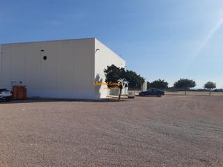 Nau industrial a Crevillente. Nave industrial en venta zona crevillente