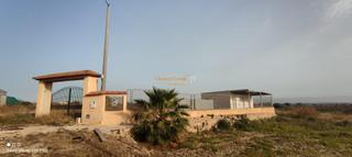 Casa en Crevillente. Se vende casita de 65 m2 en parcela de 9000 m2, partida cachapet