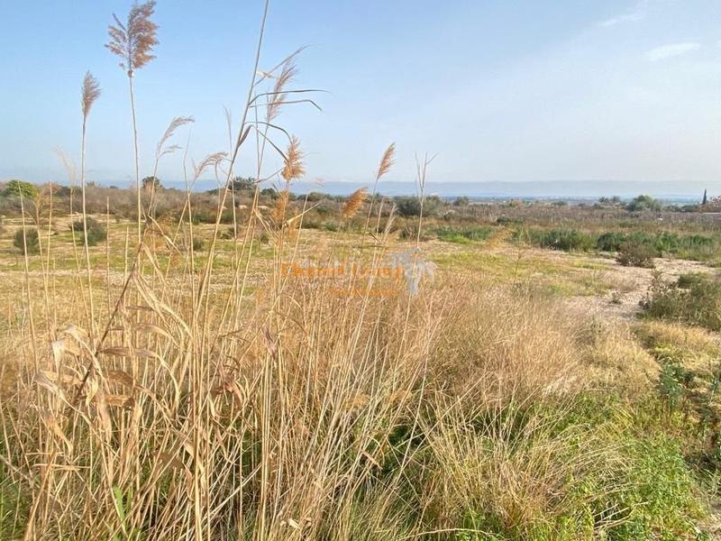 Foto 594bc6c8-2c3e-46d1-9f53-15c30b22cfef. Maison dans Crevillente