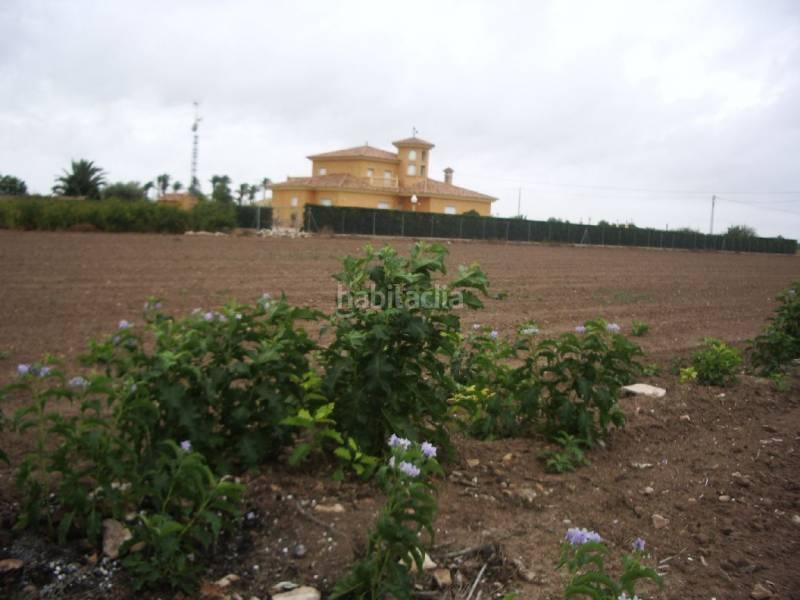 Foto 54b4e5f9-f9e9-4078-8a95-8ada60cae100. Casa in La Portalada Elche / Elx