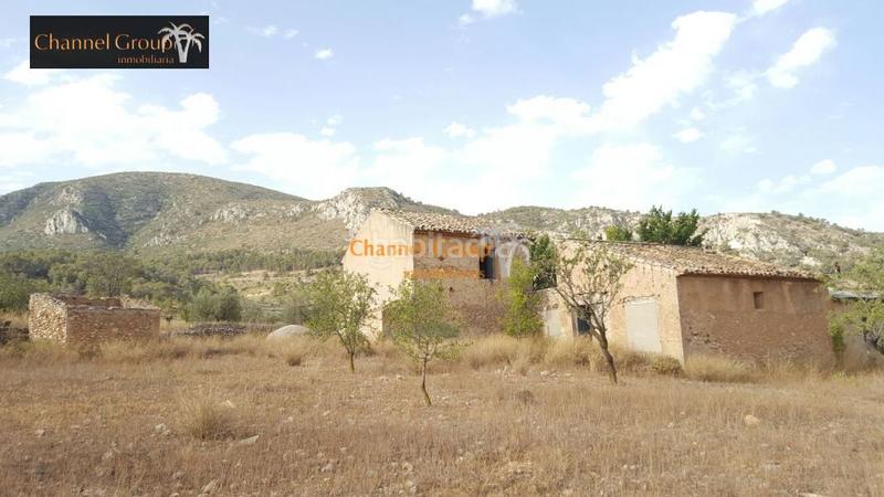 Foto 5b95e9fe-1074-4d98-8fce-3d5b64cb0c6e. Casa se vende terreno con casa en Algueña