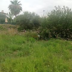 Terreny residencial a Peña de las Águilas. Oportunidad única! parcela de 2.000 m en venta en zona  peña de