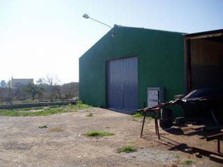 Nau industrial a Crevillente