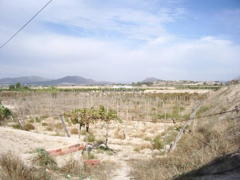Foto a9316e34-8e26-430c-9212-eb47914874a0. Casa a Novelda